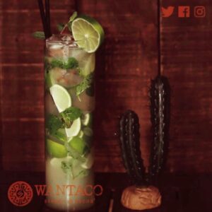 MOJITO XL