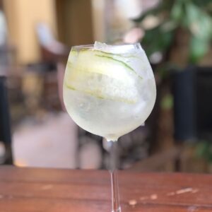 GIN TONIC (BOMBAY)
